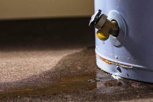 Best Mold removal after water damage  in La Grande, OR