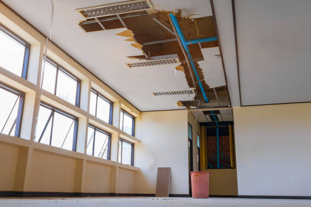 Best Basement water damage restoration  in La Grande, OR
