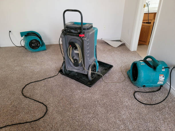 Carpet water damage restoration in La Grande, OR