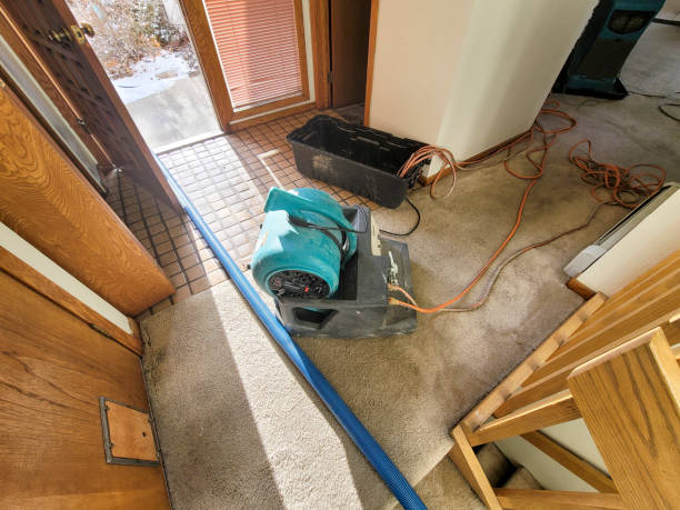 Best Emergency water extraction  in La Grande, OR