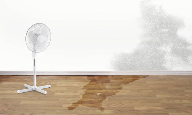 Best Flood restoration services  in La Grande, OR