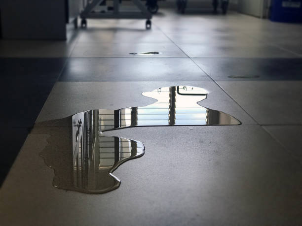 Best Water damage cleanup near me  in La Grande, OR
