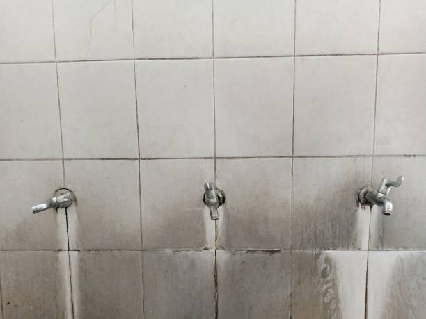 Best Carpet water damage restoration  in La Grande, OR