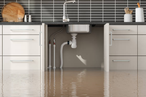 Water damage restoration experts in La Grande, OR
